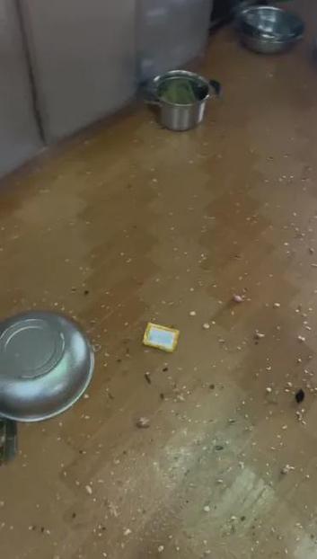 新奥精准数据免费开放和高压锅煮粽子爆炸与高压锅煮粽子爆炸是怎么回事