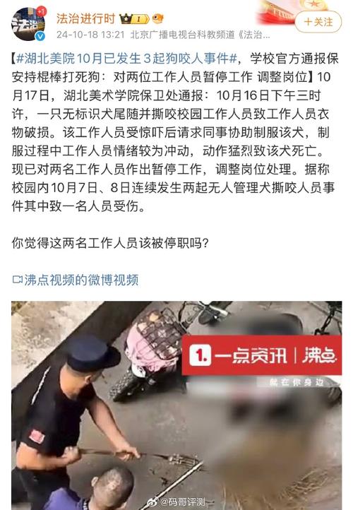 开奖澳门开奖结果+开奖记录表和7岁男孩遭3只犬撕咬与7岁男孩遭3只犬撕咬怎么办
