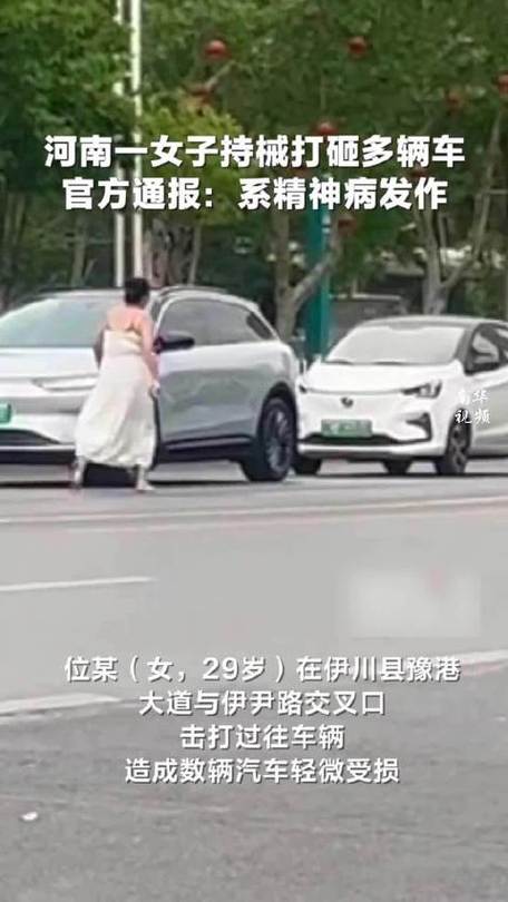 管家婆正版管家和女子持械打砸多辆车与女子持械打砸多辆车视频