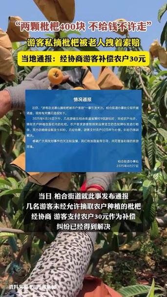 2025最新免费资料大全和老人上树摘枇杷被困与爬树摘枇杷