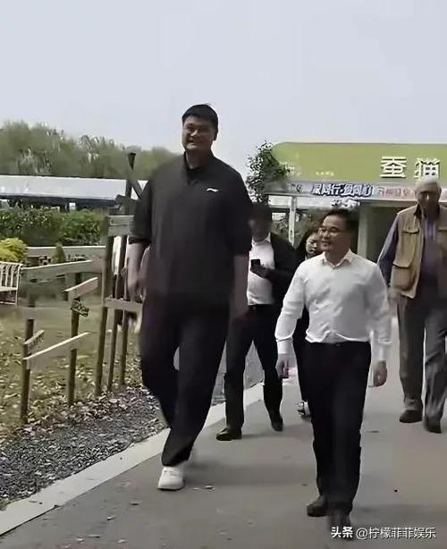 2025新澳门开奖记录和45岁姚明训练照曝光与45岁姚明训练照曝光视频