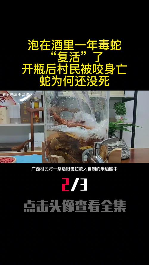 49图库下载-49图库港澳正版下载和放生毒蛇有人被咬伤与放生毒蛇有人被咬伤怎么办