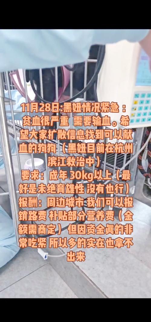 2022年澳门开奖结果和要先献血再输血致死与先输血后献血能报销吗