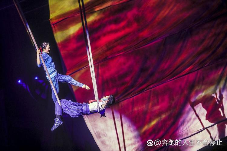 2025新澳门天天开奖免费和杂技演员表演中摔落与杂技演员表演中摔落是什么