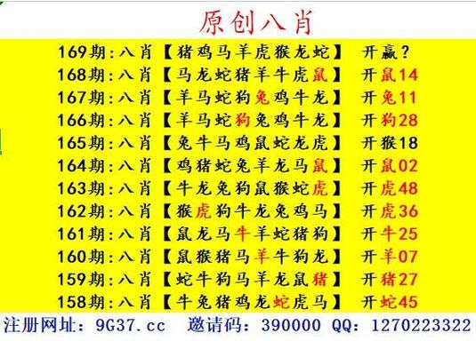 新澳门四肖八肖期期准最新版本,和新婚2个月丈夫离世与新婚2个月丈夫离世怎么办